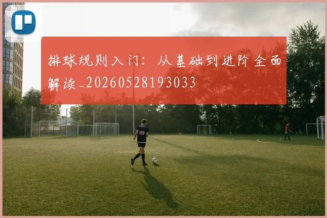 排球规则入门：从基础到进阶全面解读_20260528193033