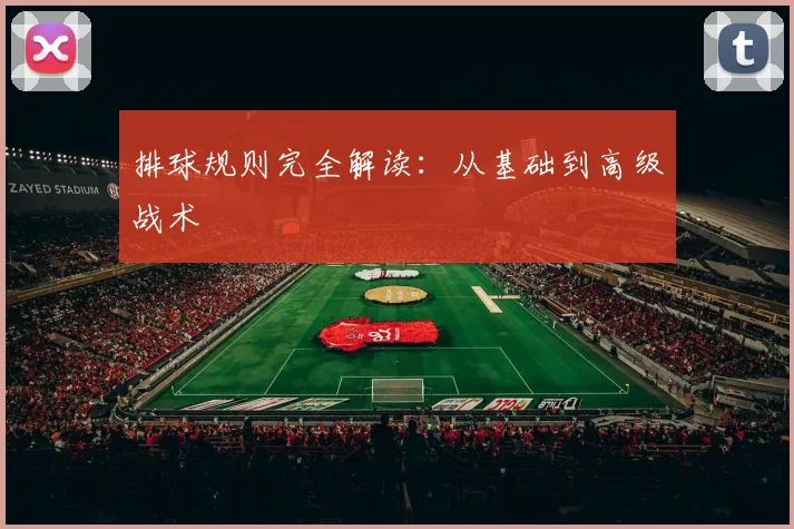 排球规则完全解读：从基础到高级战术